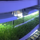 Illustration for article titled 14 High-Tech Farms Where Veggies Grow Indoors